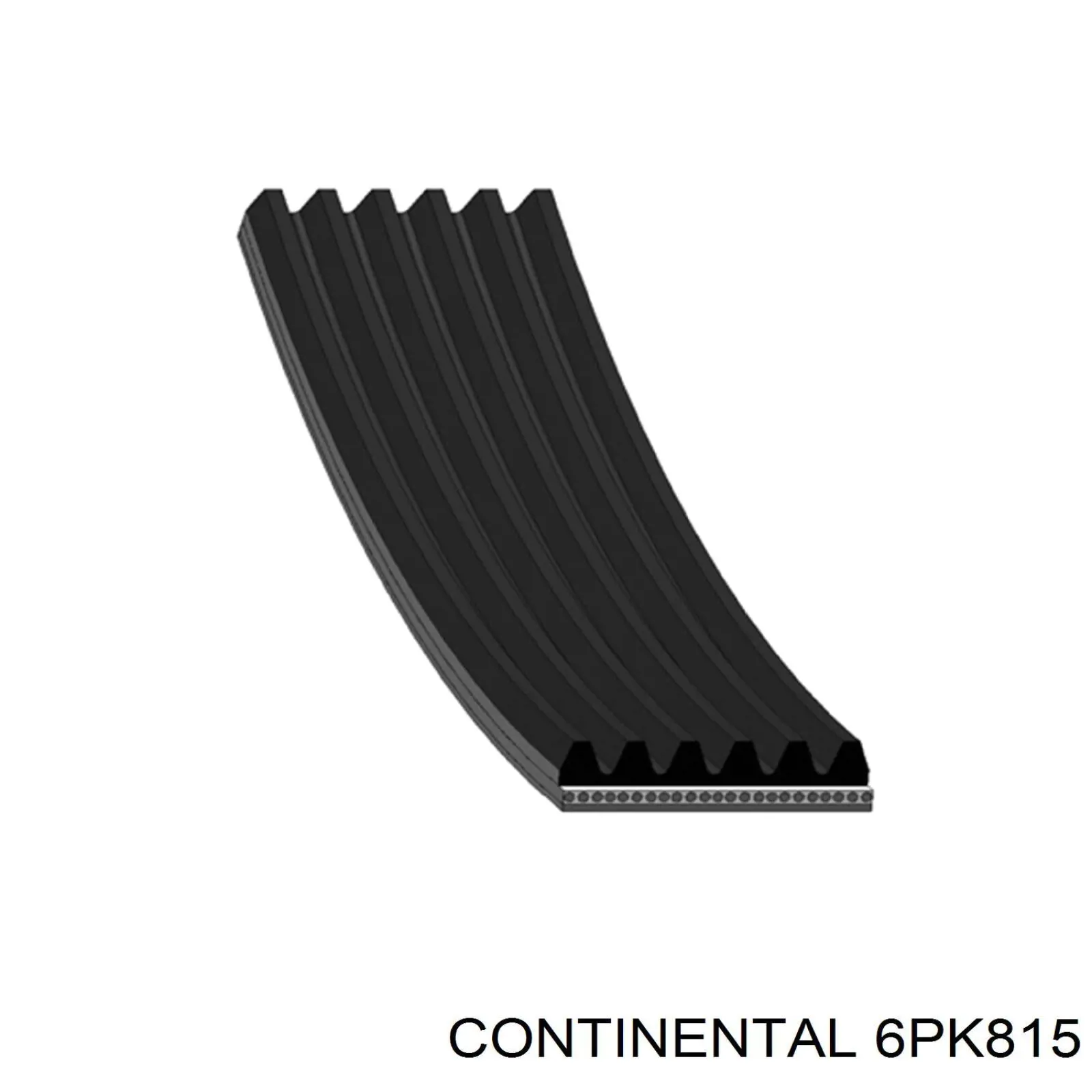 6PK815 Continental/Siemens Correia dos conjuntos de transmissão
