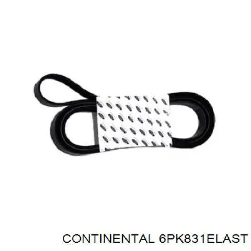 Compre 6PK831ELAST Continental/Siemens Correia dos conjuntos de transmissão