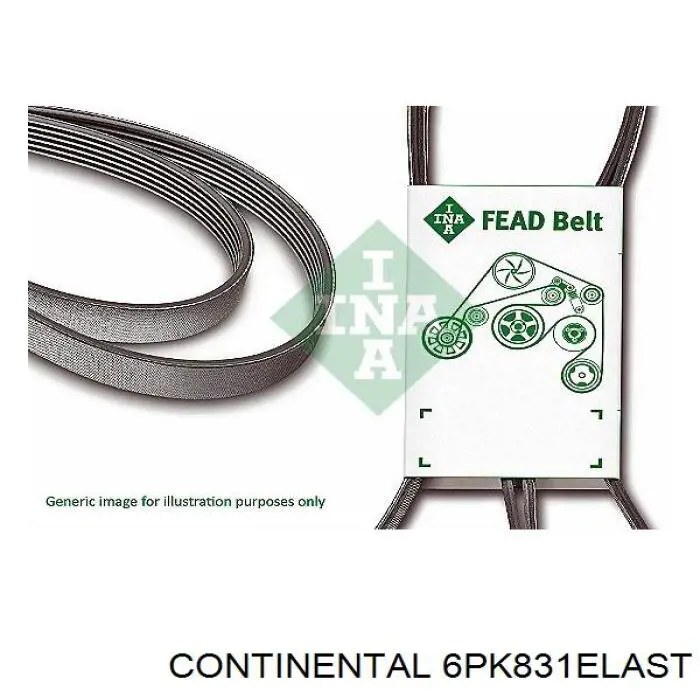 6PK831ELAST Continental/Siemens Correia dos conjuntos de transmissão