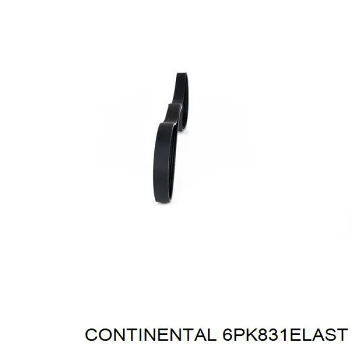 6PK831ELAST Continental/Siemens Correia dos conjuntos de transmissão