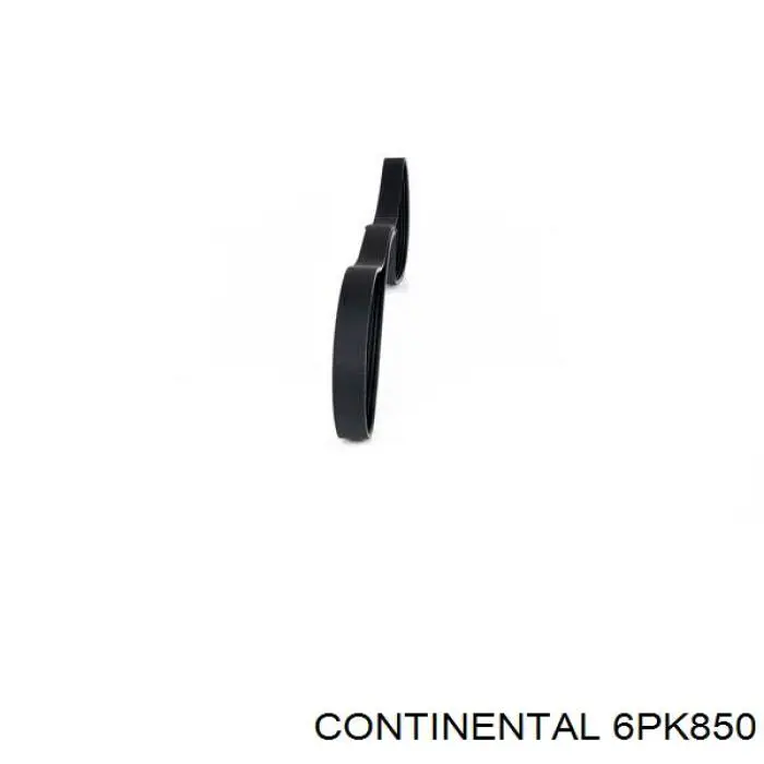 Correia dos conjuntos de transmissão 6PK850 Continental/Siemens