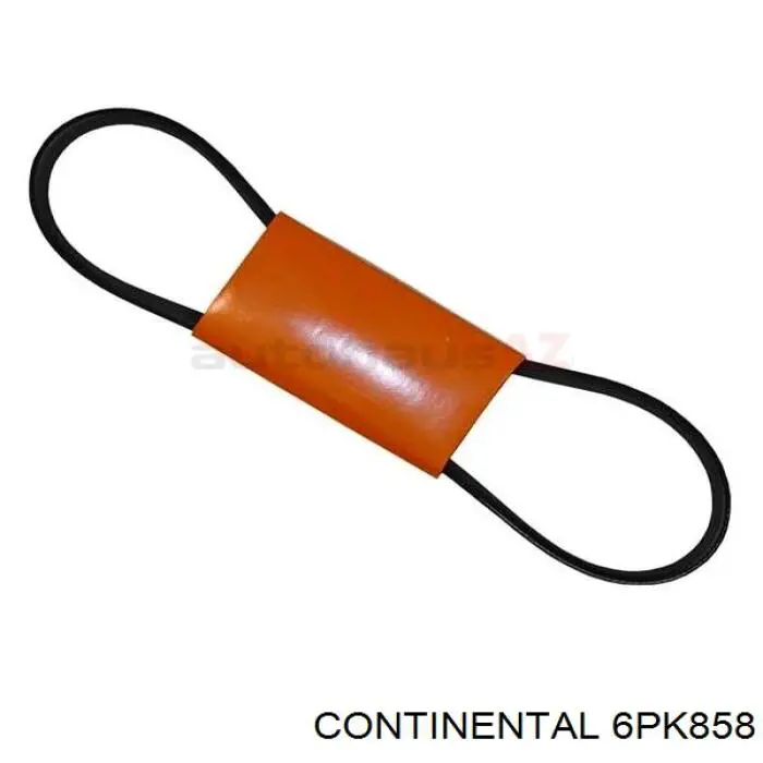 6PK858 Continental/Siemens Correia dos conjuntos de transmissão