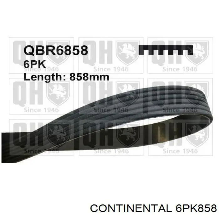 Correia dos conjuntos de transmissão Continental/Siemens 6PK858 preço, a partir de 12,97 USD