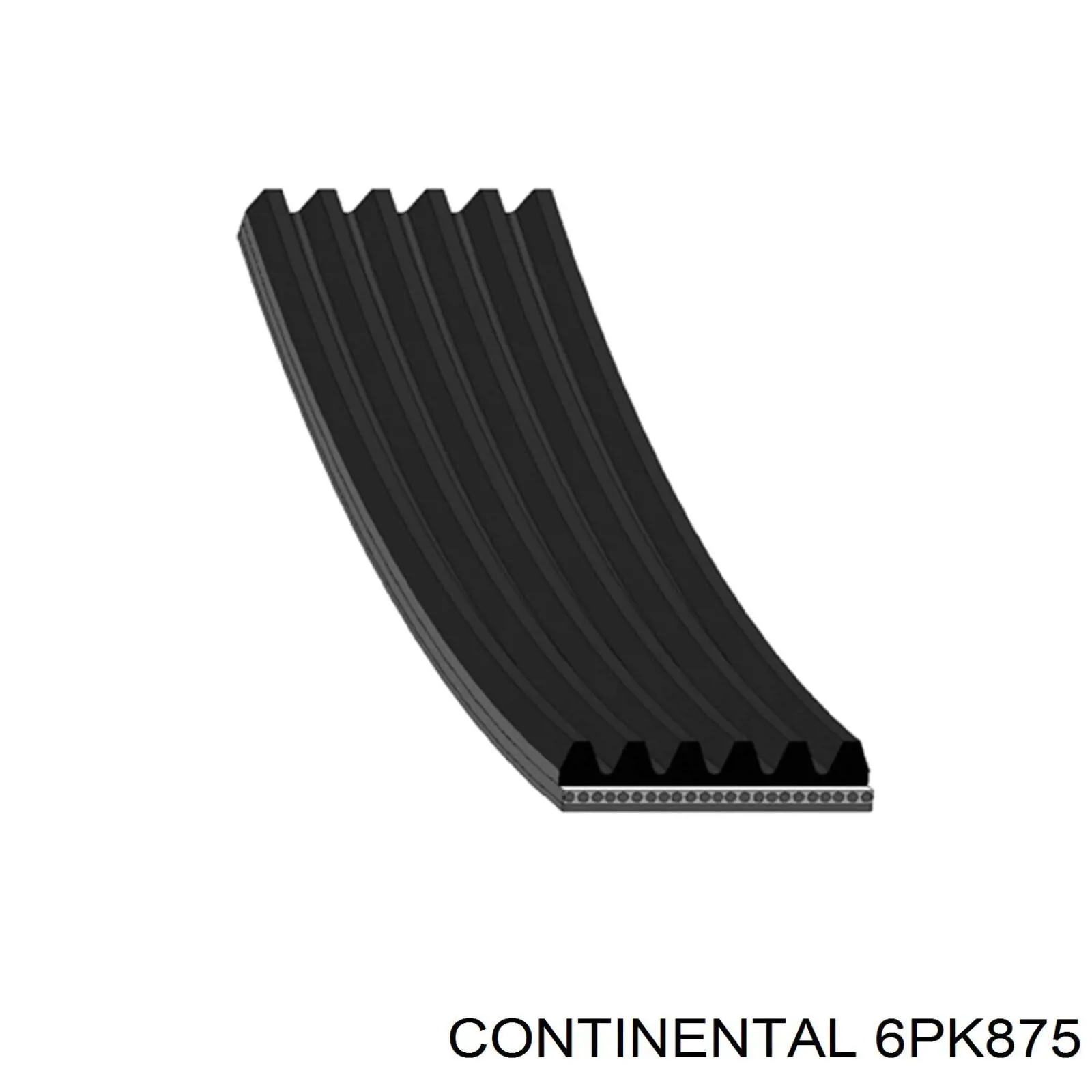 6PK875 Continental/Siemens Correia dos conjuntos de transmissão