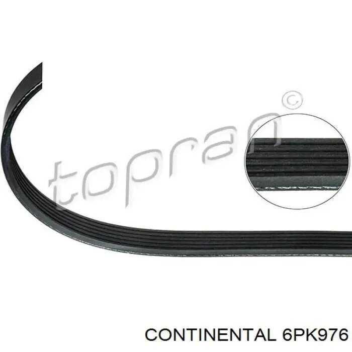 Correia dos conjuntos de transmissão Continental/Siemens 6PK976 preço, a partir de 8,74 USD