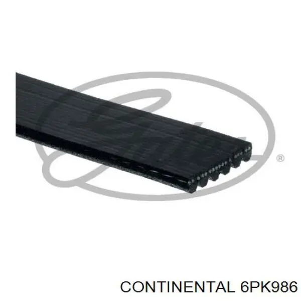 6PK986 Continental/Siemens Correia dos conjuntos de transmissão