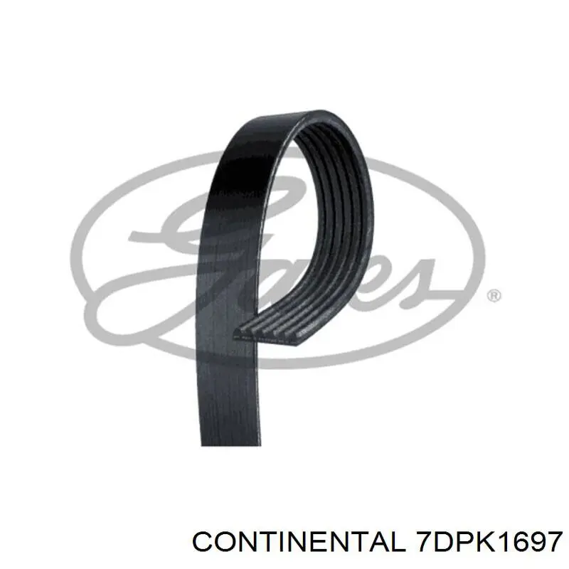 Compre 7DPK1697 Continental/Siemens Correia dos conjuntos de transmissão