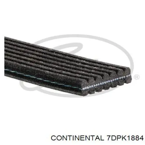 Correia dos conjuntos de transmissão Continental/Siemens 7DPK1884 preço, a partir de 50,24 USD
