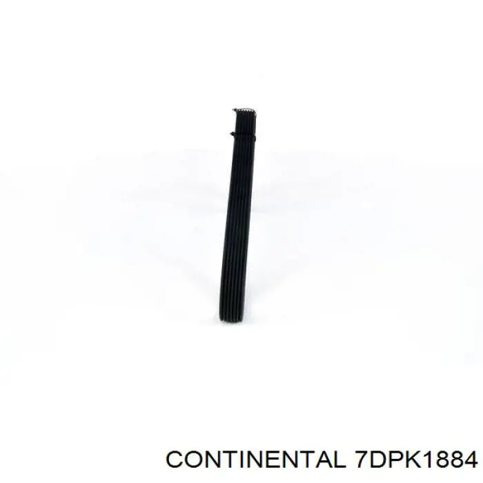 Compre 7DPK1884 Continental/Siemens Correia dos conjuntos de transmissão