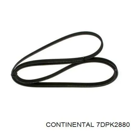 Correia dos conjuntos de transmissão Continental/Siemens 7DPK2880 preço, a partir de 71,56 USD