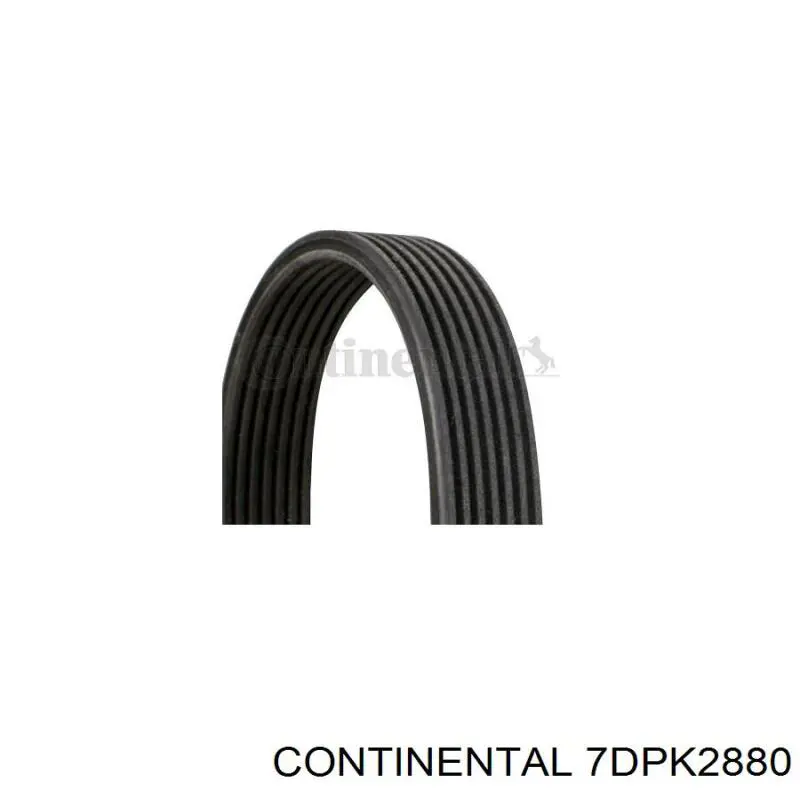 Compre 7DPK2880 Continental/Siemens Correia dos conjuntos de transmissão