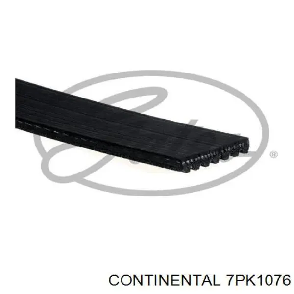 Correia dos conjuntos de transmissão 7PK1076 Continental/Siemens