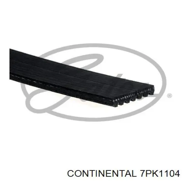7PK1104 Continental/Siemens Correia dos conjuntos de transmissão