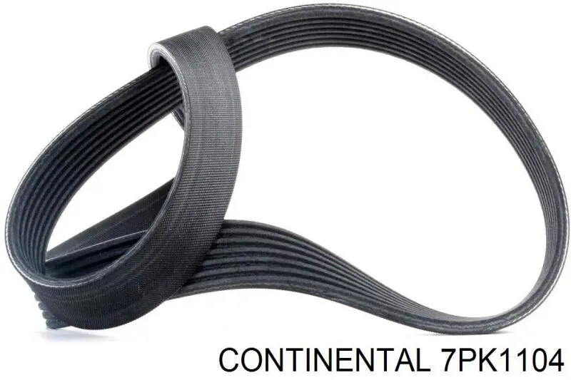 Correia dos conjuntos de transmissão 7PK1104 Continental/Siemens