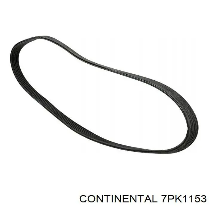 Compre 7PK1153 Continental/Siemens Correia dos conjuntos de transmissão