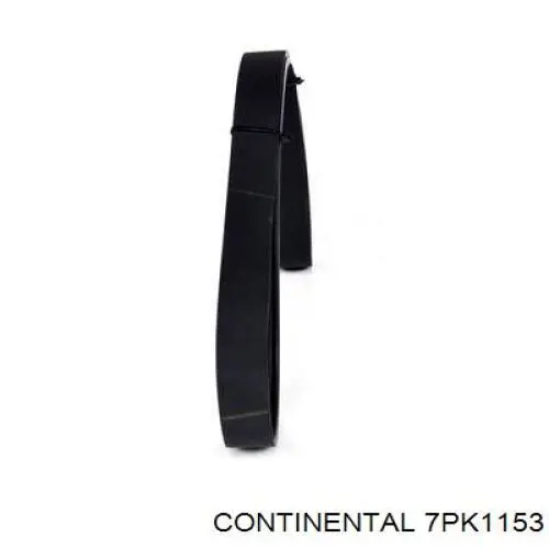 Correia dos conjuntos de transmissão Continental/Siemens 7PK1153 preço, a partir de 21,35 USD