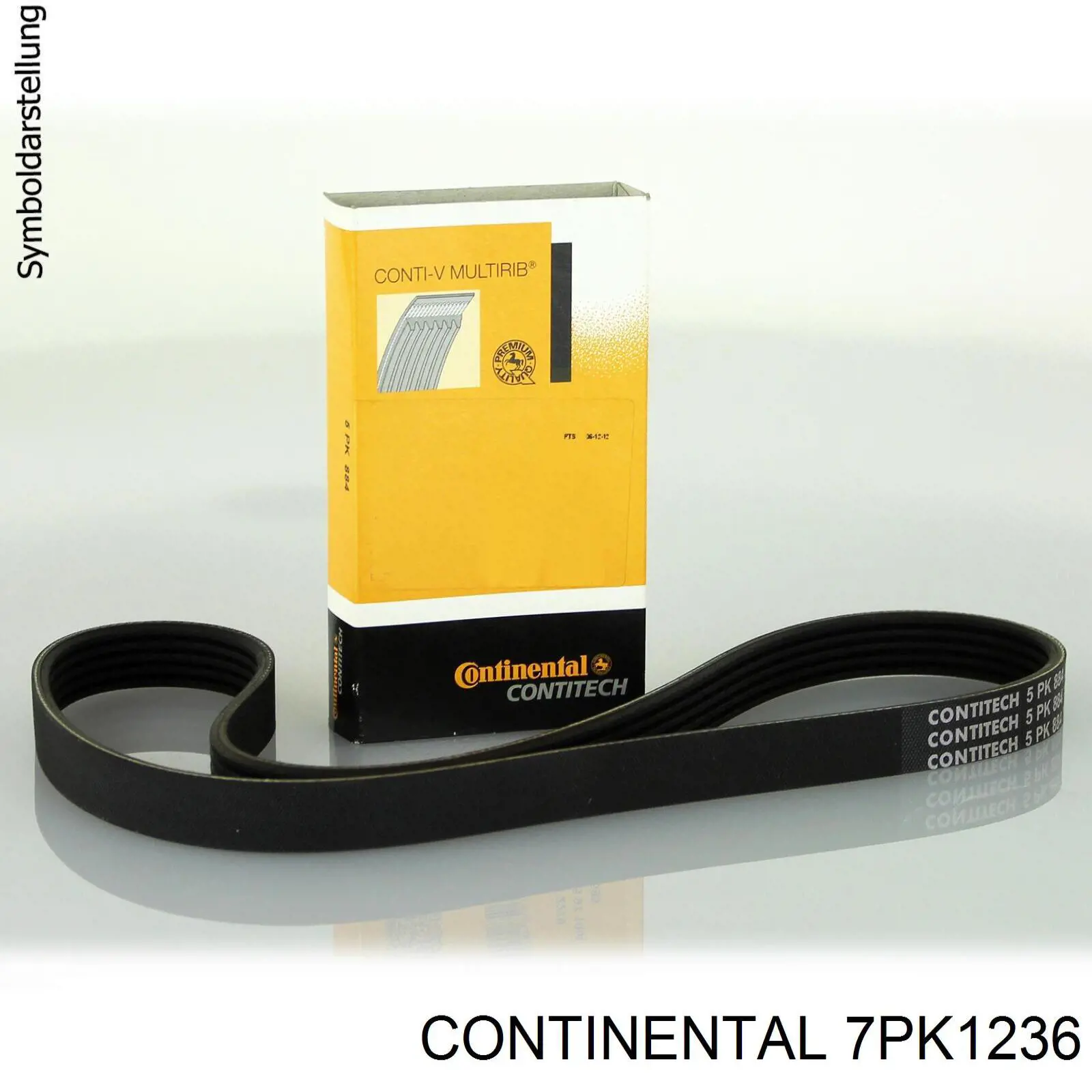 Compre 7PK1236 Continental/Siemens Correia dos conjuntos de transmissão