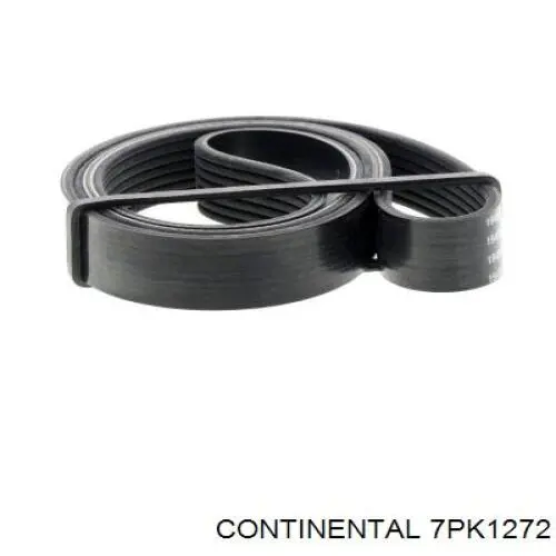 Compre 7PK1272 Continental/Siemens Correia dos conjuntos de transmissão
