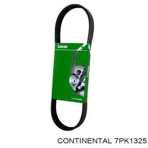Compre 7PK1325 Continental/Siemens Correia dos conjuntos de transmissão