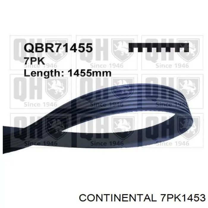 Compre 7PK1453 Continental/Siemens Correia dos conjuntos de transmissão