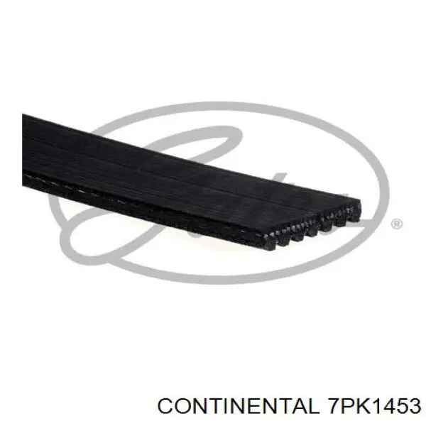 7PK1453 Continental/Siemens Correia dos conjuntos de transmissão