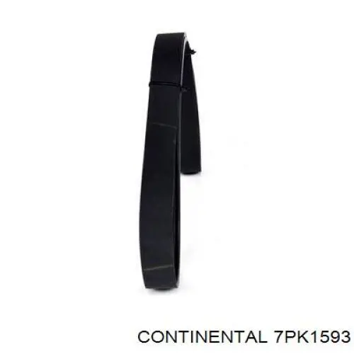 Compre 7PK1593 Continental/Siemens Correia dos conjuntos de transmissão