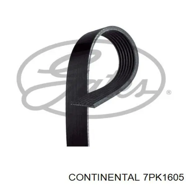 7PK1605 Continental/Siemens Correia dos conjuntos de transmissão