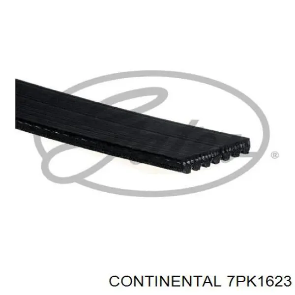 Correia dos conjuntos de transmissão Continental/Siemens 7PK1623 preço, a partir de 24,37 USD