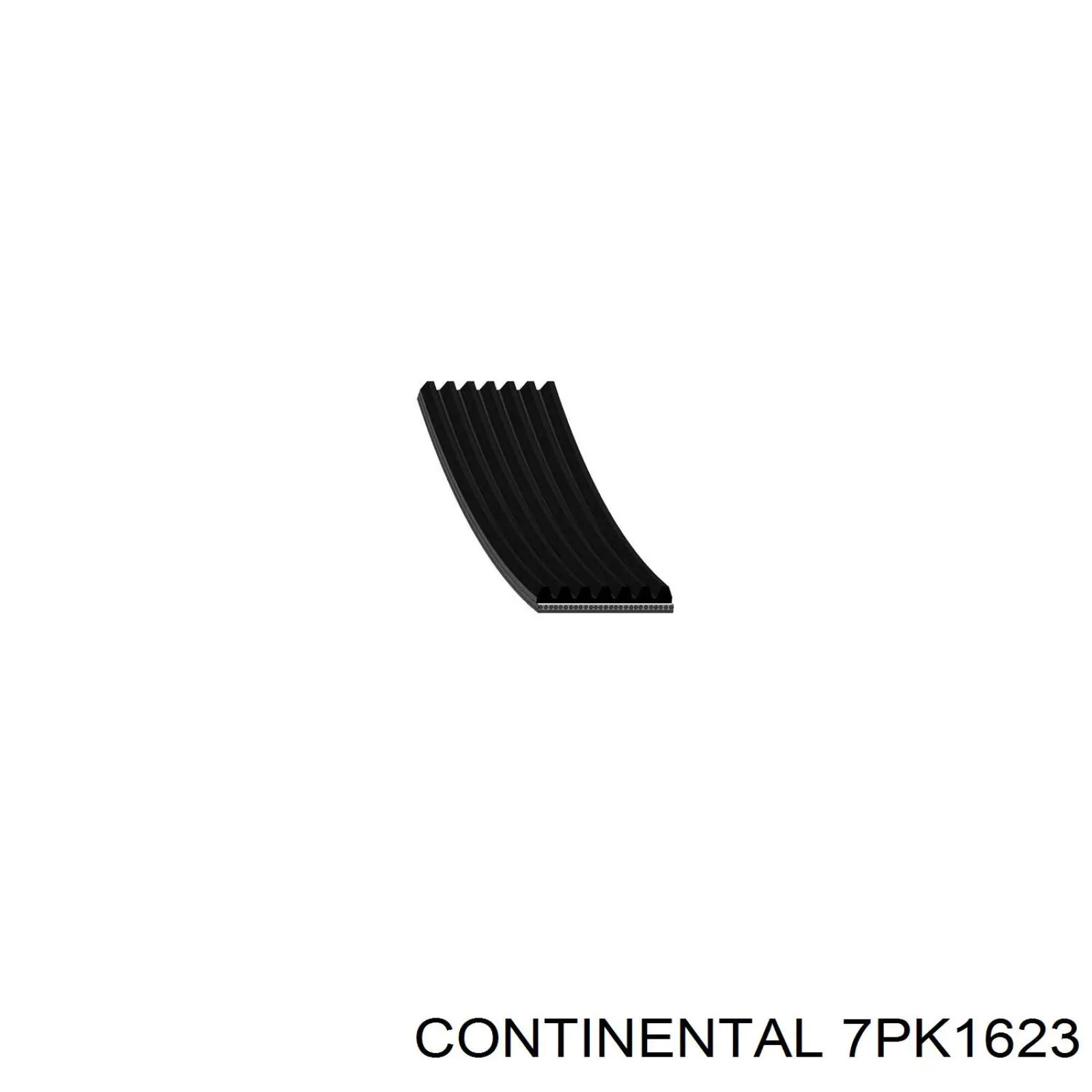 7PK1623 Continental/Siemens Correia dos conjuntos de transmissão