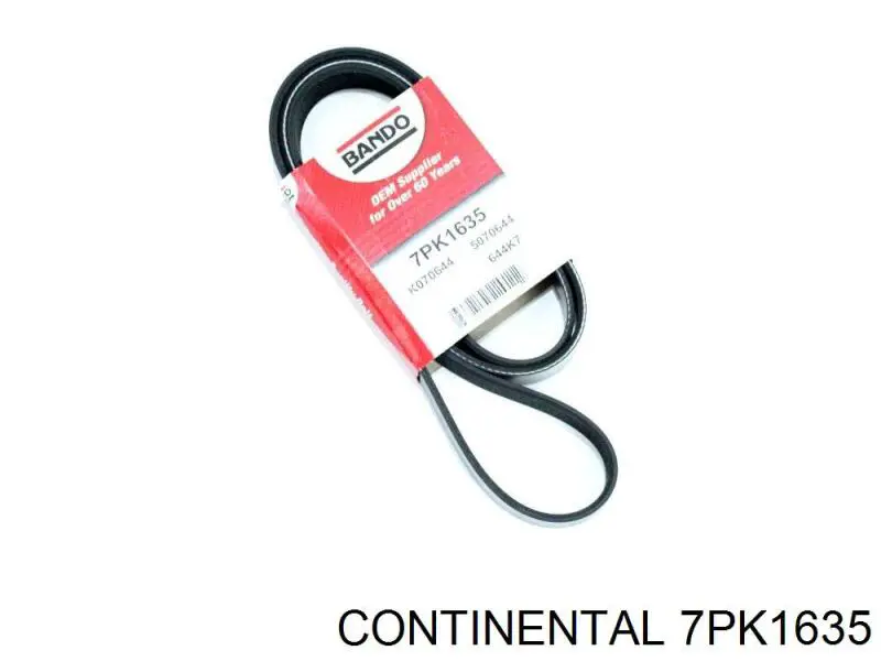 Correia dos conjuntos de transmissão 7PK1635 Continental/Siemens