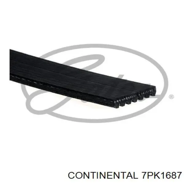 7PK1687 Continental/Siemens Correia dos conjuntos de transmissão