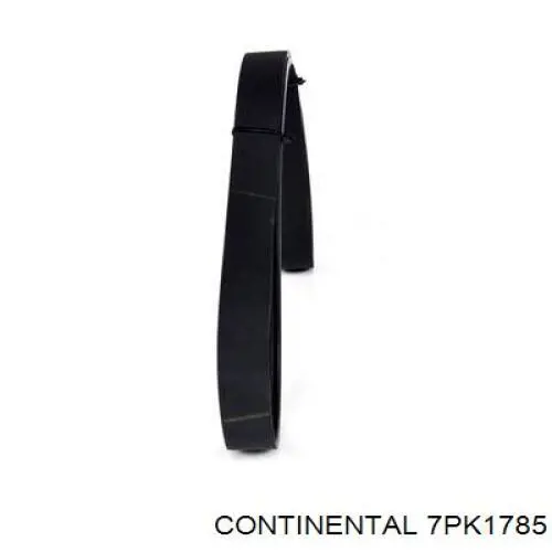 7PK1785 Continental/Siemens Correia dos conjuntos de transmissão