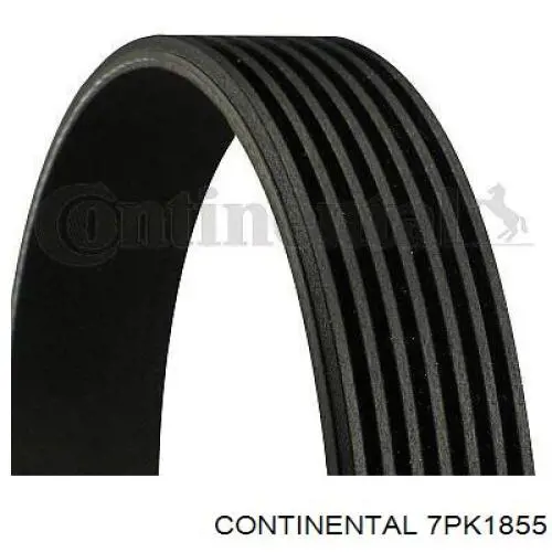 Compre 7PK1855 Continental/Siemens Correia dos conjuntos de transmissão