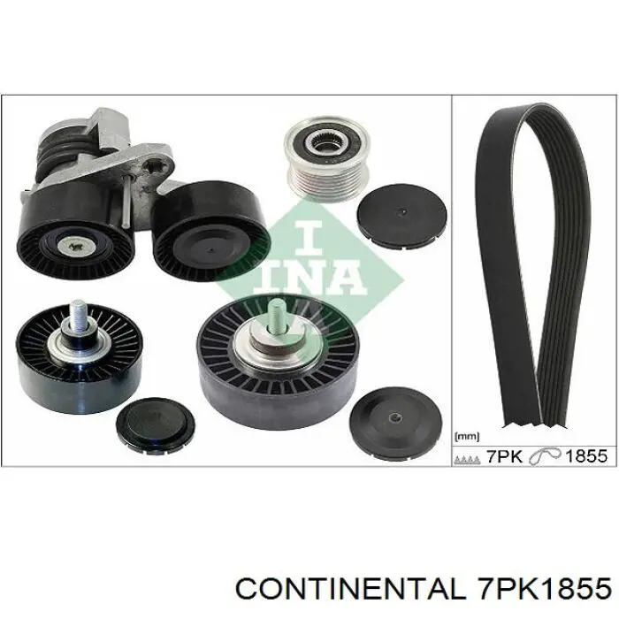 7PK1855 Continental/Siemens Correia dos conjuntos de transmissão