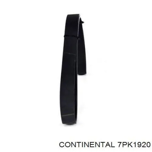 Correia dos conjuntos de transmissão Continental/Siemens 7PK1920 preço, a partir de 32,21 USD