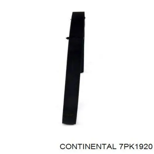 Correia dos conjuntos de transmissão Continental/Siemens 7PK1920