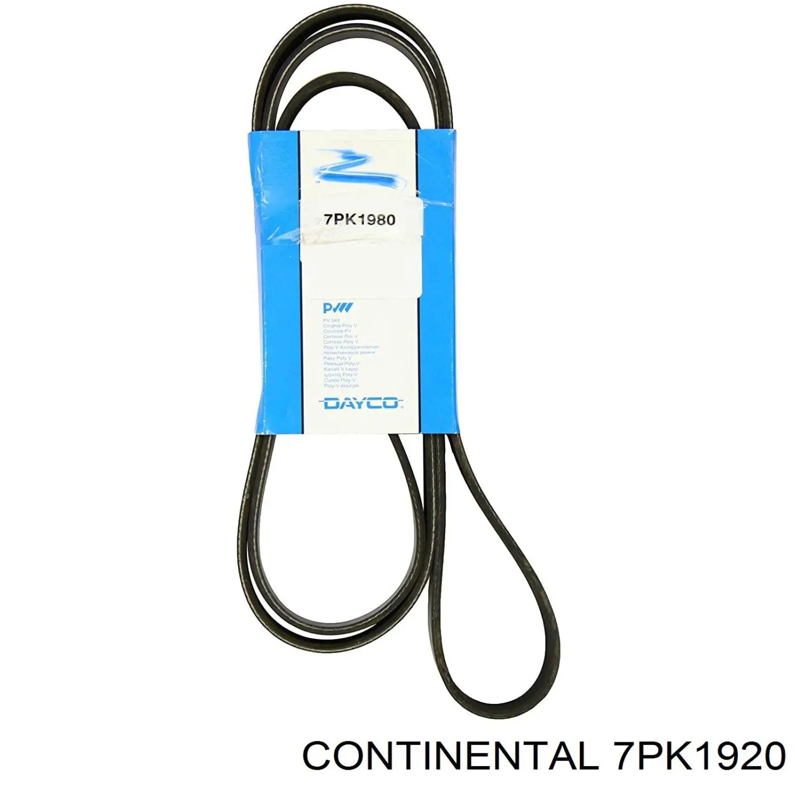 Compre 7PK1920 Continental/Siemens Correia dos conjuntos de transmissão