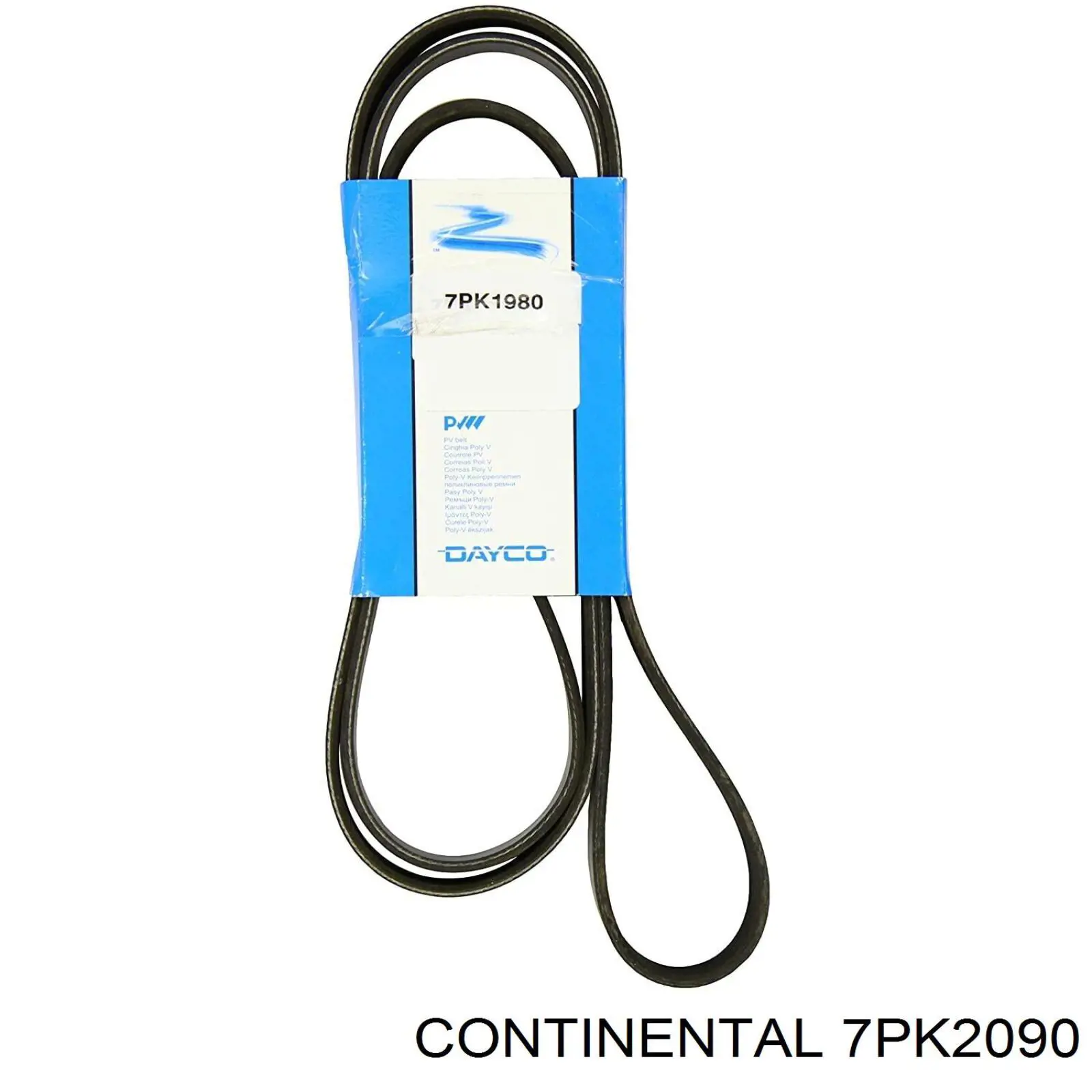 Compre 7PK2090 Continental/Siemens Correia dos conjuntos de transmissão