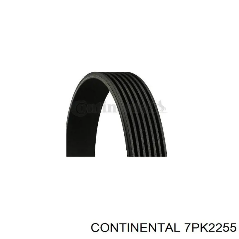 Compre 7PK2255 Continental/Siemens Correia dos conjuntos de transmissão
