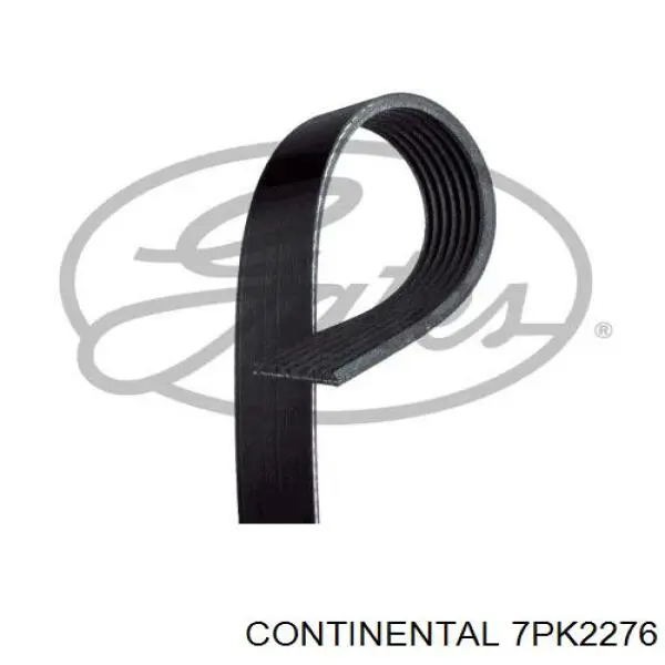 Correia dos conjuntos de transmissão 7PK2276 Continental/Siemens