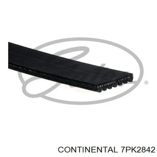 Correia dos conjuntos de transmissão Continental/Siemens 7PK2842 preço, a partir de 45,69 USD