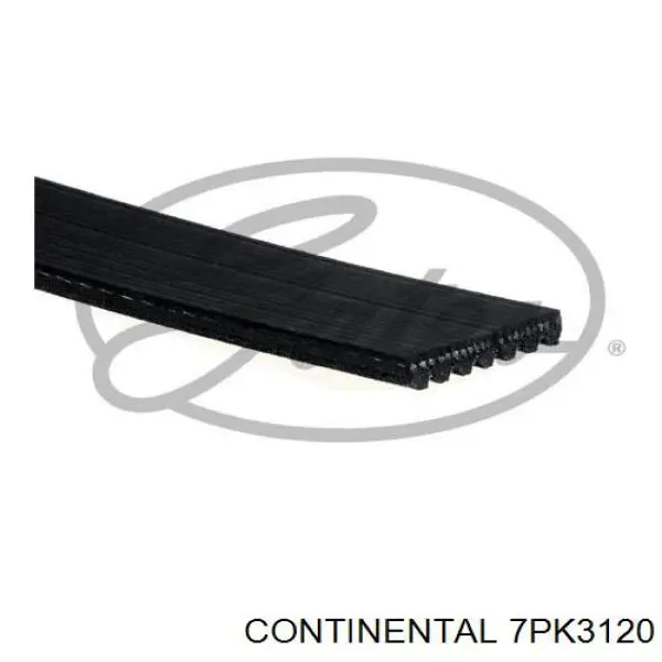 Correia dos conjuntos de transmissão Continental/Siemens 7PK3120