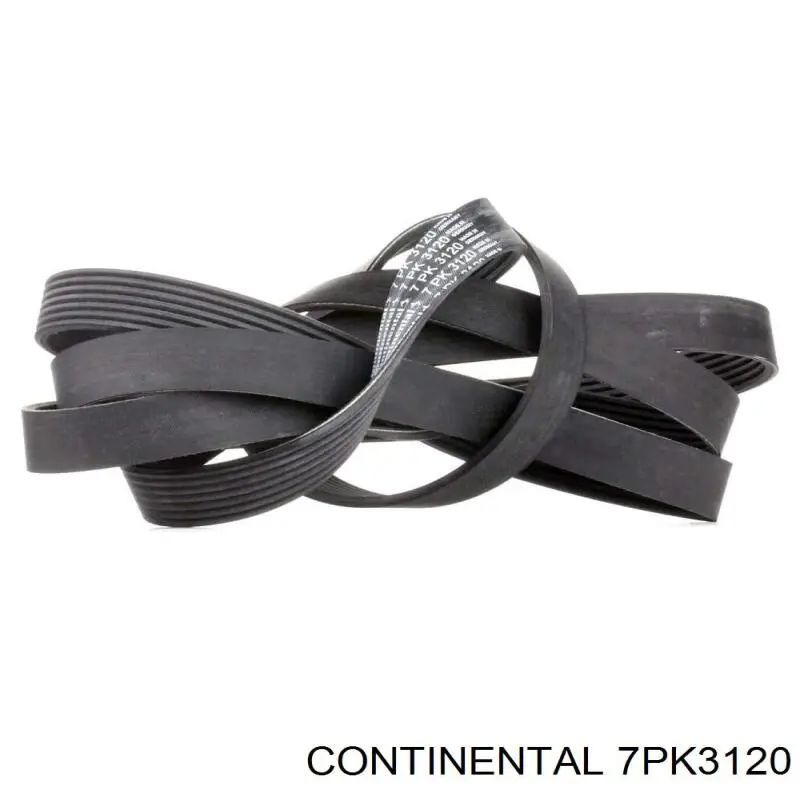 Correia dos conjuntos de transmissão Continental/Siemens 7PK3120 preço, a partir de 35,96 USD