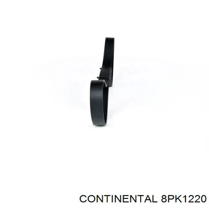 Compre 8PK1220 Continental/Siemens Correia dos conjuntos de transmissão