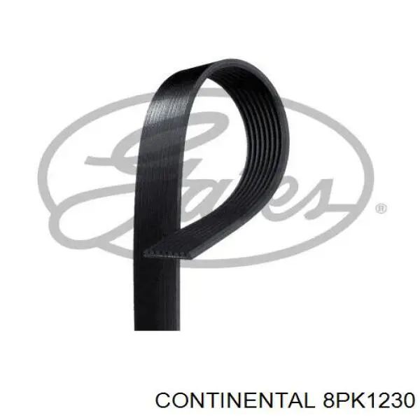 8PK1230 Continental/Siemens Correia dos conjuntos de transmissão