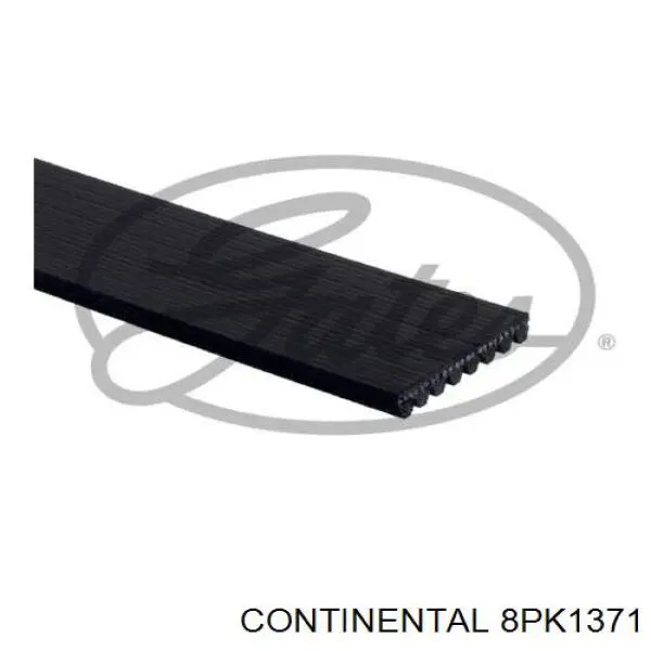 Correia dos conjuntos de transmissão Continental/Siemens 8PK1371 preço, a partir de 22,76 USD