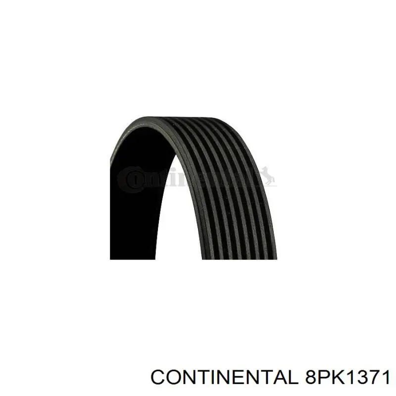 Compre 8PK1371 Continental/Siemens Correia dos conjuntos de transmissão