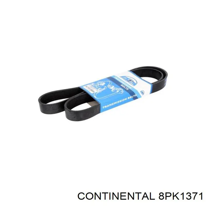 Correia dos conjuntos de transmissão Continental/Siemens 8PK1371
