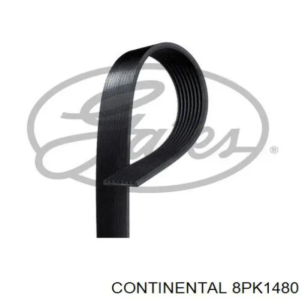 8PK1480 Continental/Siemens Correia dos conjuntos de transmissão