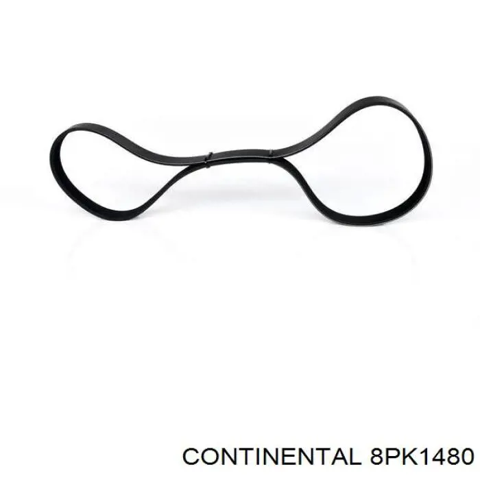 Compre 8PK1480 Continental/Siemens Correia dos conjuntos de transmissão